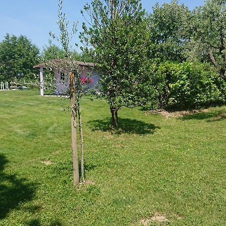 Il Carpino Bianco Bilocale Apartamento Puegnago Quarto foto