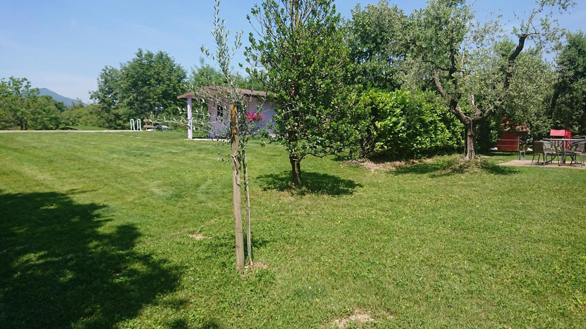 Il Carpino Bianco Bilocale Apartamento Puegnago Quarto foto